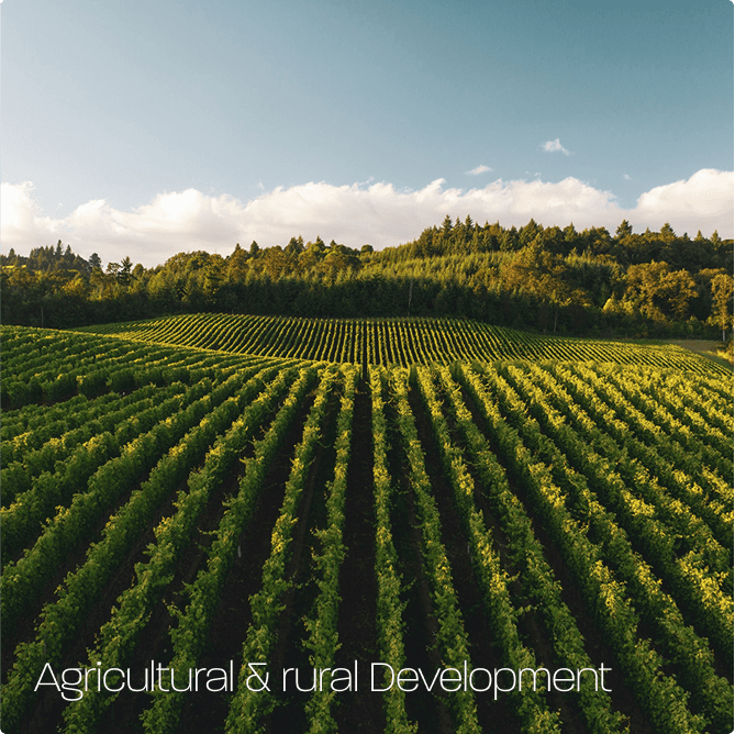 Slider Image 1 Slider Image 1